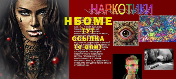 гидропоника Ладушкин
